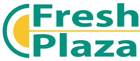 Fresh Plazza